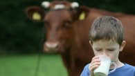 USK, çiğ süt fiyatı için olağanüstü toplanıyor