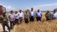 4 ayda 3 milyon tona yakın buğday ithal edildi… CHP’li Gürer: ‘TMO tüccara çalışıyor’