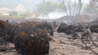 Antalya Aksu Çalkaya Mahallesi’nde Çıkan Yangın Kontrol Altına Alındı