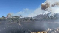 Balıkesir’de anız yangını, ağaçlandırma sahasına sıçradı! Saatler sonra kontrol altına alındı