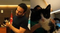 Beşiktaş Belediyesi paylaştı: Yavru kediye isim aranıyor