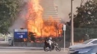 Bursa’da AVM bahçesinde yangın: Ağaçlık alan alev alev yandı