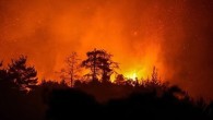 Çanakkale, İzmir, Manisa ve Uşak’ta orman yangını… Bakan Yumaklı açıkladı: 575 hektarlık alan zarar gördü!