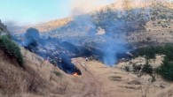 Derik’te 3 ayrı noktada yangın çıktı: 7 hektar orman ve 250 dönüm ekili tarla yandı