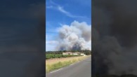 Fransa’da yangın: Yüzlerce hektar yeşil alan küle döndü
