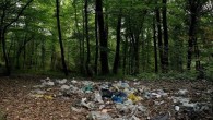 İstanbul’un ormanlık alan ve plajlarında tatilden geriye çöpler kaldı
