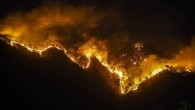 Los Angeles’ta çıkan orman yangınında 1200 kişi tahliye edildi