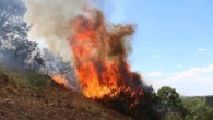 Manisa’da orman yangını: İki mahalle boşaltıldı