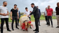 Nevşehir Belediye Başkanı Rasim Arı, Kurban Bayramı’nda ihtiyaç sahibi ailelere kurban eti dağıtımı için başlatılan kampanyaya destek veren tüm hayırseverlere teşekkür etti