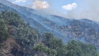 Siirt’te çıkan orman yangını, 6 saatte kontrol altına alındı