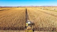 TZOB: Tarım arazileri 23,9 milyon hektara geriledi