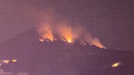 Adana’da orman yangını: Ekipler müdahale ediyor