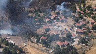 Ankara’da örtü yangınında 10 hektar alan zarar gördü
