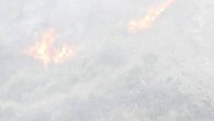 Bornova’da başlayan yangın Manisa’ya ilerliyor: Bornova’da başlayan yangın Manisa’ya ilerliyor
