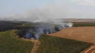 Çorlu’da feci yangın: 2 bin dönüm tarım alanı küle döndü