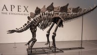 Şimdiye kadarki ‘en pahalı’ dinozor fosili, açık artırmada 44,6 milyon dolara satıldı