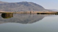 Sivas Ulaş Gölü’nde su seviyesi azaldı; ‘Doğal habitat bozuluyor’ uyarısı