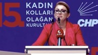 CHP Kadın Kolları Genel Başkanı seçilen Asu Kaya kimdir? Asu Kaya kaç yaşında, nereli?