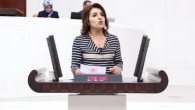 CHP’li Gülcan Kış: Üniversite öğrencilerimizin barınma ve geçinme sorunlarına acil çözüm gerekiyor