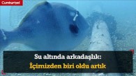 Su altında arkadaşlık: İçimizden biri oldu artık