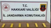 Hakkari’de 6 kilo külçe altın ele geçirildi