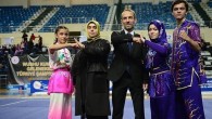 İsmi skandallarla anılıyordu: Abdurrahman Akyüz yine Wushu Kung Fu Federasyonu Başkanı seçildi