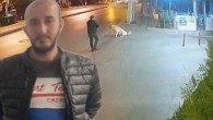 Köpeğe silah doğrultan şüphelinin dokuz farklı kabahatten kaydı ortaya çıktı