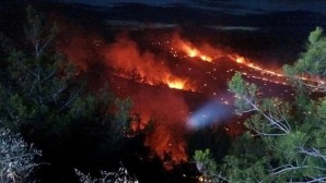 Adana’da anız yangını ormana sıçradı! 2 saat sonra kontrol altına alındı