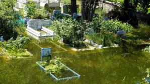 Baraj suları yükseldi mezarlıklar yine sular altında kaldı