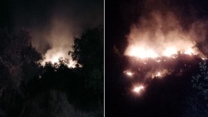 Antalya’da orman yangını: 7 dekarlık alan zarar gördü