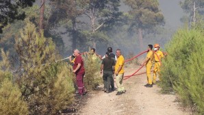 Bodrum’daki orman yangını kontrol altına alındı