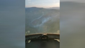 İzmir Bergama’daki orman yangınında 2’nci gün: Müdahale sürüyor
