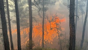 İzmir’de orman yangınıyla mücadele 18’inci saatte