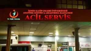 TPD Başkanı Yıldırım’dan şiddet olaylarının ‘psikiyatrik’ olaya tepkisi