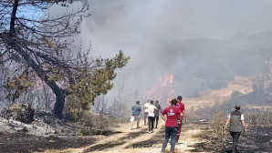 Semaver yakarken ormanı da yaktı