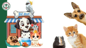 Giresun Belediyesi’nden, Petshop İşletmelerini İlgilendiren Adım