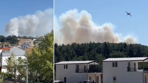 Urla’da orman yangını