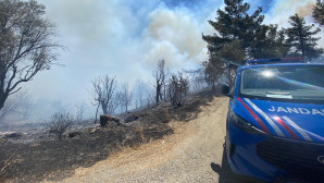 İzmir’de orman yangını