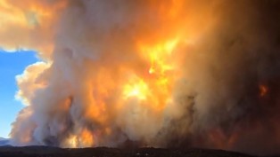 ABD’de orman yangını alarmı: Binlerce kişi tahliye edilecek
