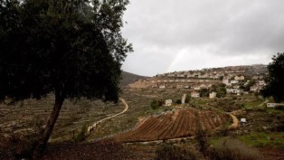 Batı Şeria’da Filistinlilere ait yüzlerce dönüm araziye el konuldu