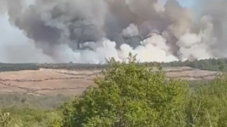 Beykoz’da orman yangını