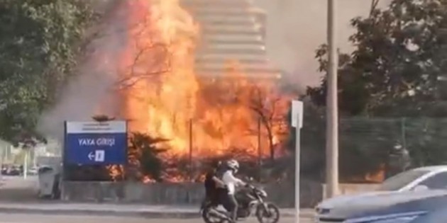 Bursa’da AVM bahçesinde yangın: Ağaçlık alan alev alev yandı