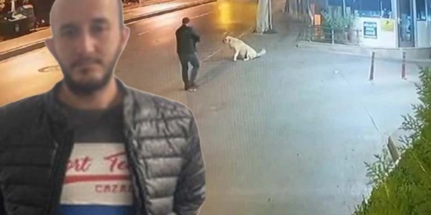 Köpeğe silah doğrultan şüphelinin dokuz farklı kabahatten kaydı ortaya çıktı