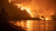 Avrupa’da alarm: Orman yangınları nedeniyle yaklaşık 300 kişi öldü