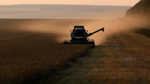Cumhurbaşkanlığı Sözcüsü Kalın’dan tahıl sevkiyatı açıklaması