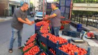 Salçalık domates fiyatları el yakıyor