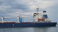 Tahıl taşıyan 2 gemi daha Ukrayna’dan hareket etti