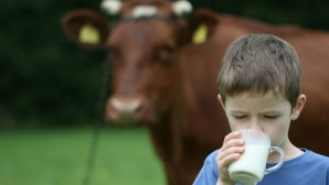 “Türkiye yakında çiğ süt kriziyle karşı karşıya kalabilir”