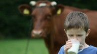 Çiğ süt desteğine ilişkin düzenlenme