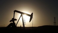 UEA petrol talep tahminini düşürdü